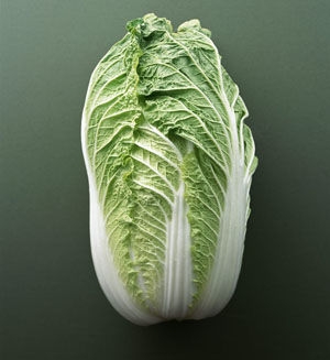 大白菜